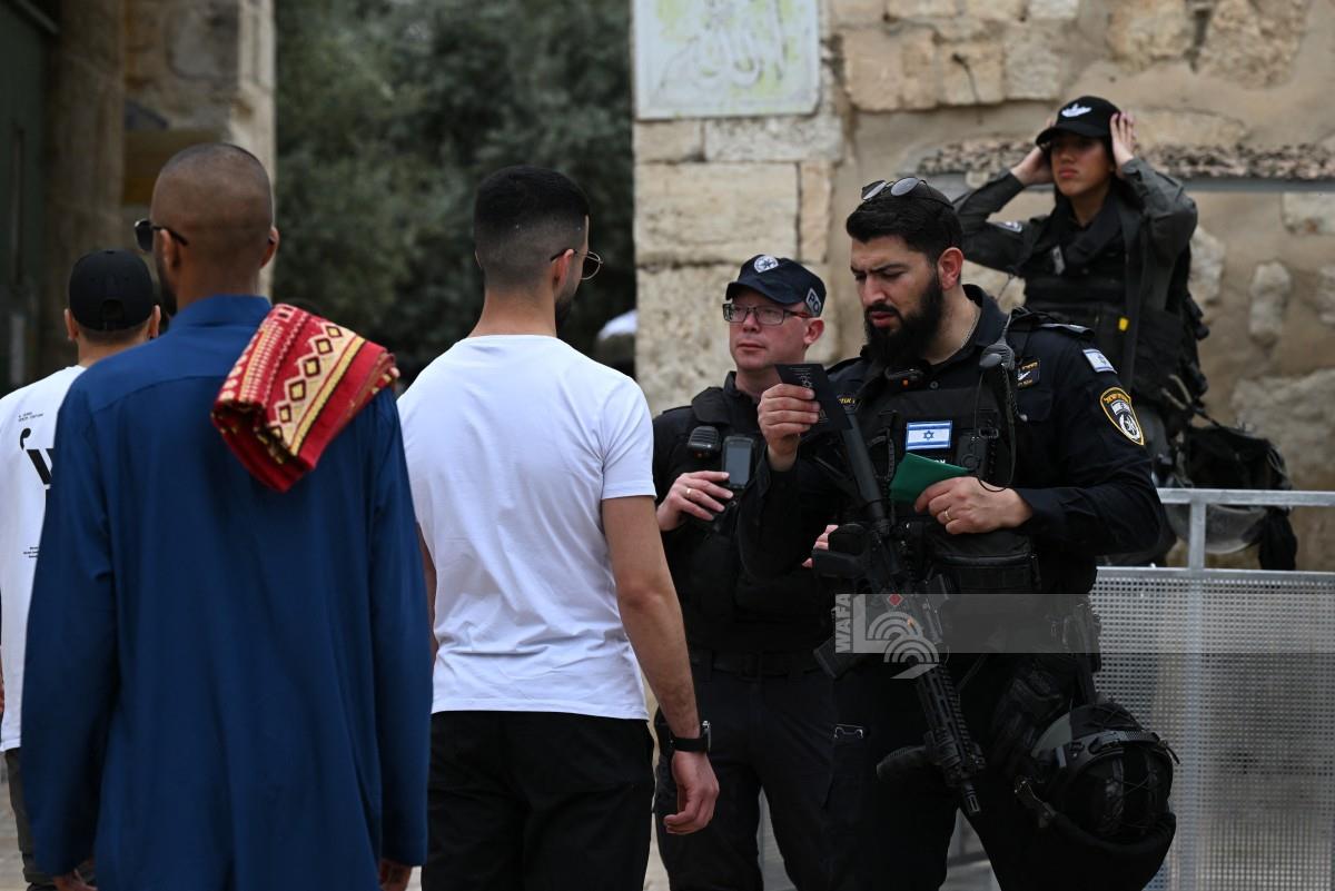 أرشيفية